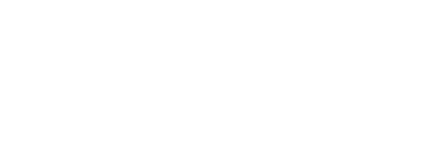 SIA Baliyoni Logo